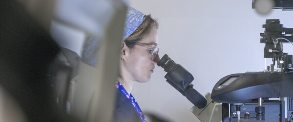Embryologists with microscope