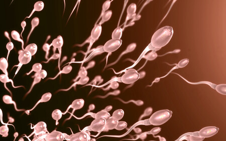 sperm