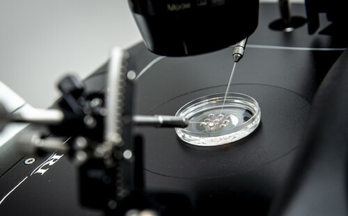 ivf microscope