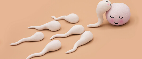 Sperm and eggs